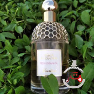 Aqua Allegoria Pera Granita Guerlain
